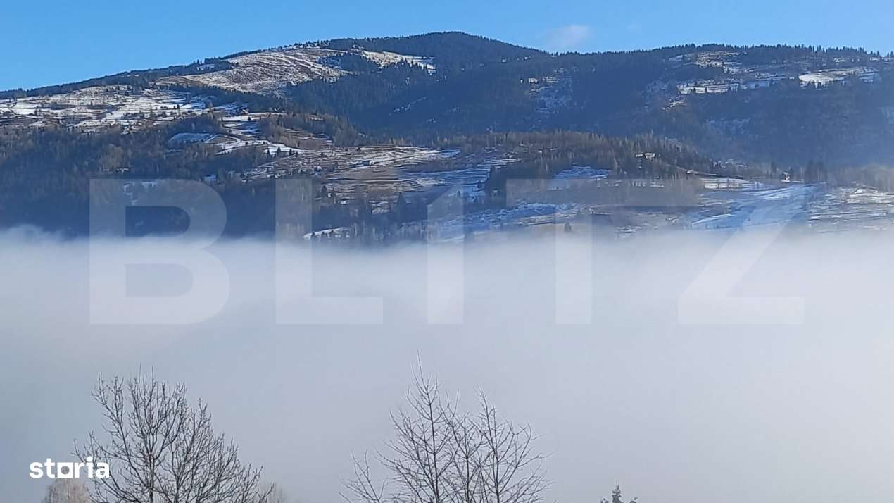 Teren extravilan si intravilan 10831 mp, zona Horea - Apuseni - Imagine principală: 2/3