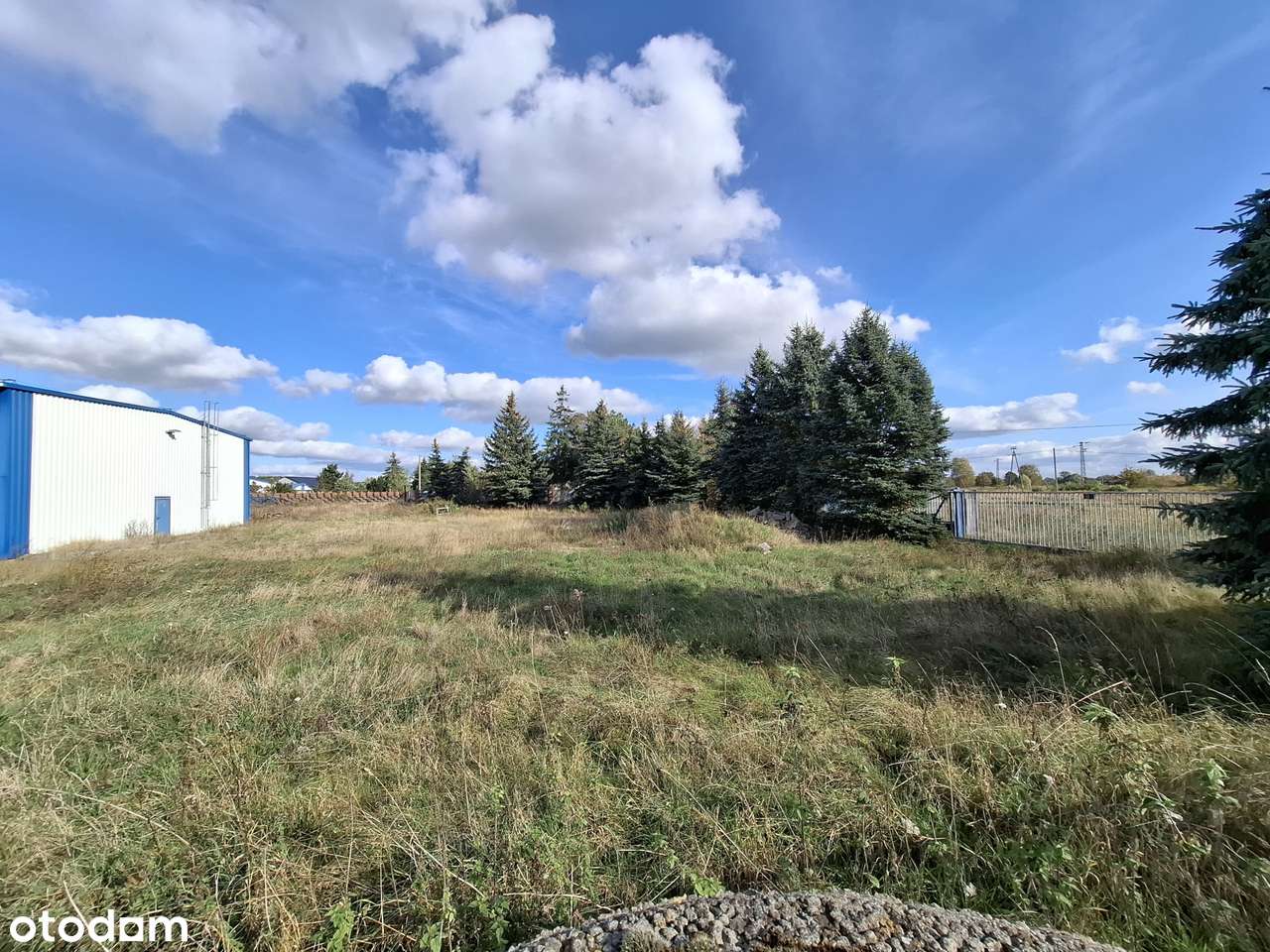 hale produkcyjne i magazyny w Dzierżowie obok Gorzowa Wielkopolskiego-7