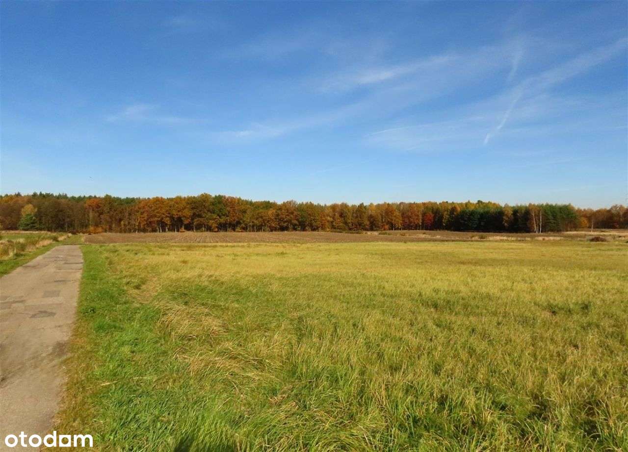 Działka, 1 254 m², Chełm Śląski - Pełny obrazek: 5/6