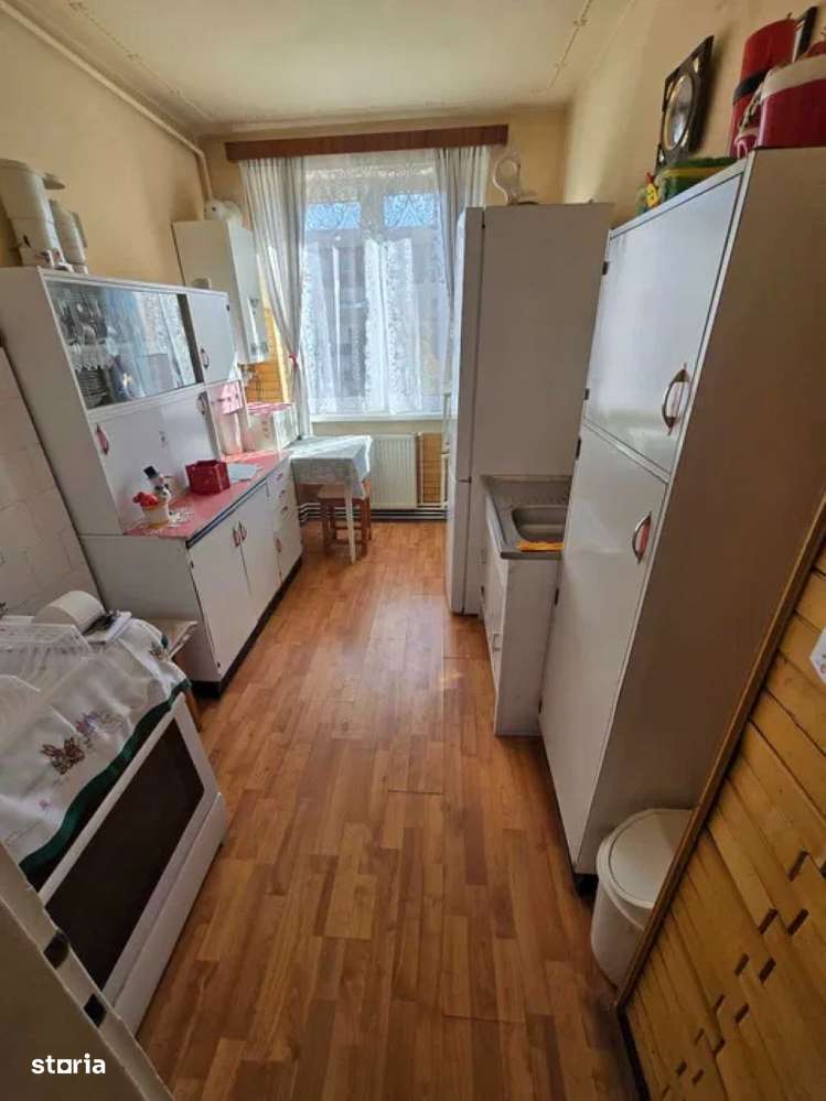 Apartament de Vânzare -Terezian-3