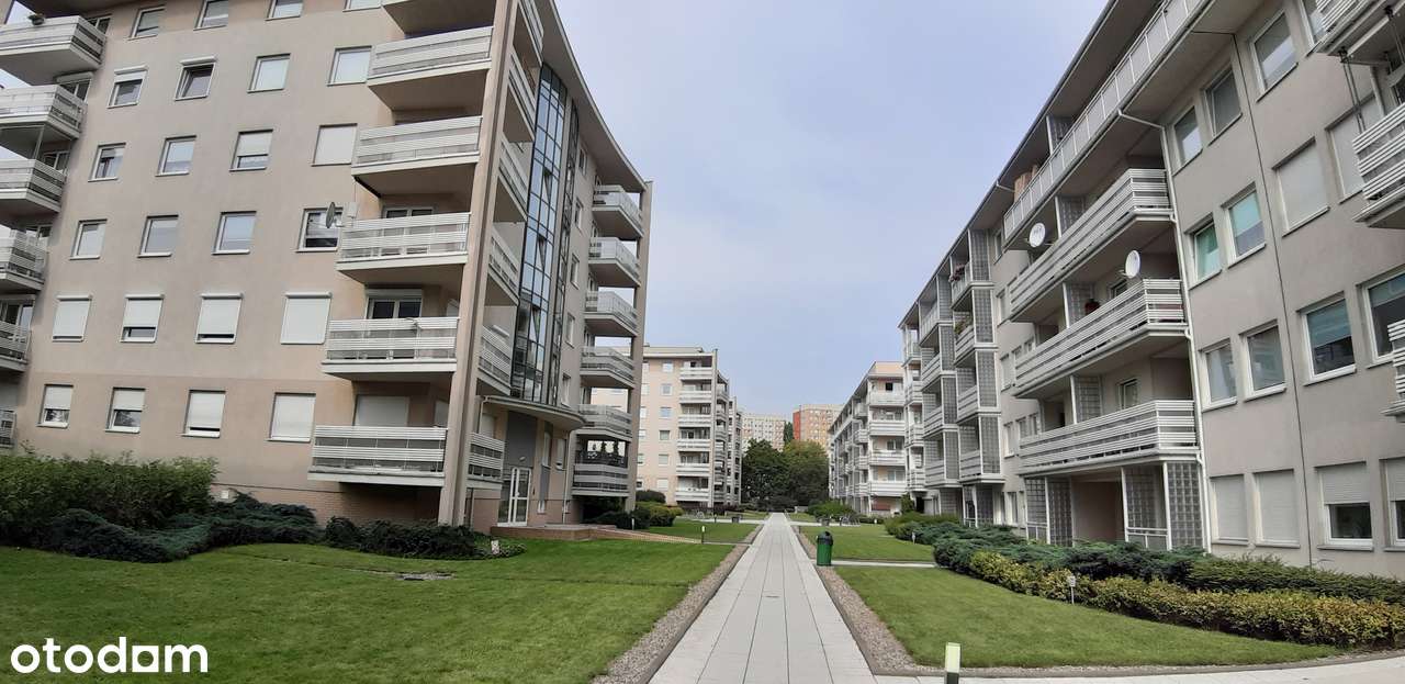 Sprzedam bezpośrednio przestronną kawalerkę_Winogrady_Ataner