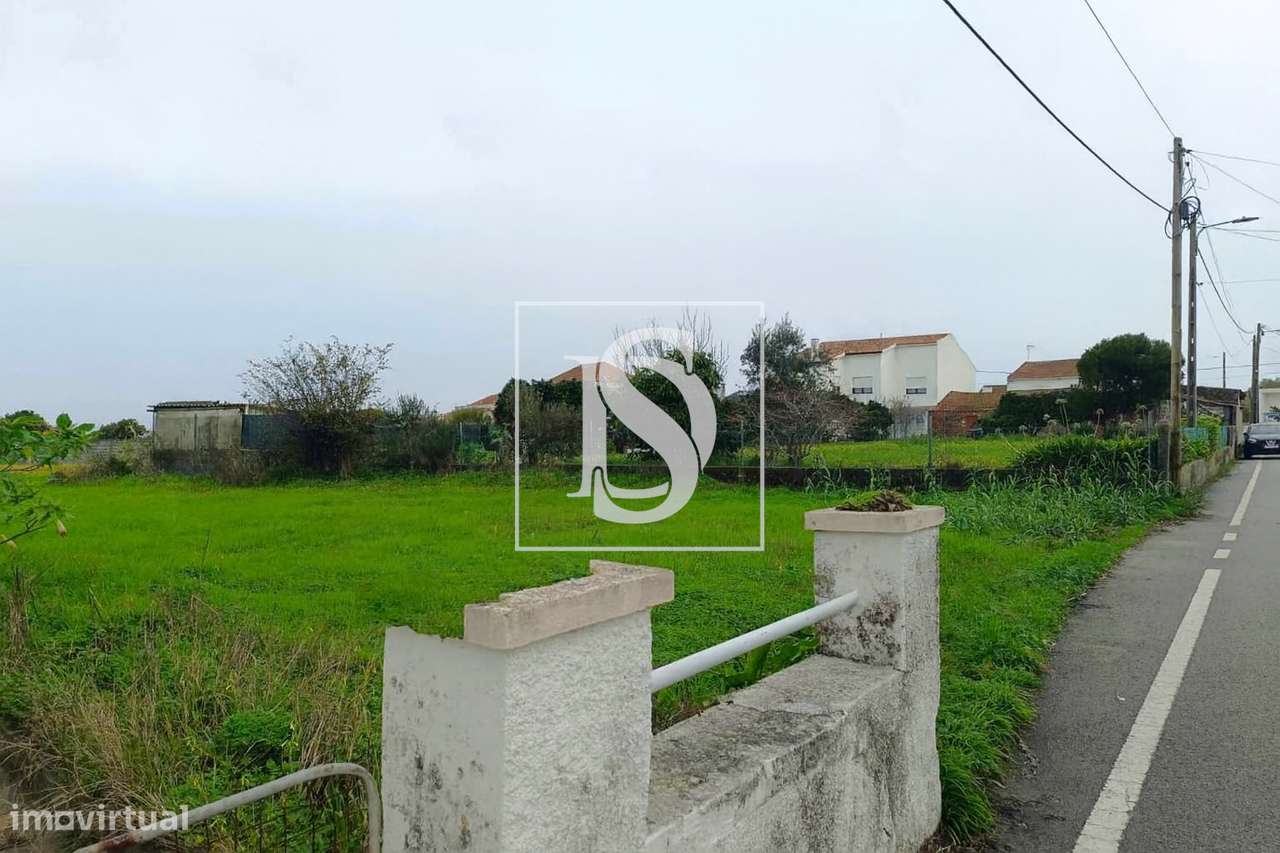 Terreno para construção em Lavos (Figueira da Foz) - Grande imagem: 5/6
