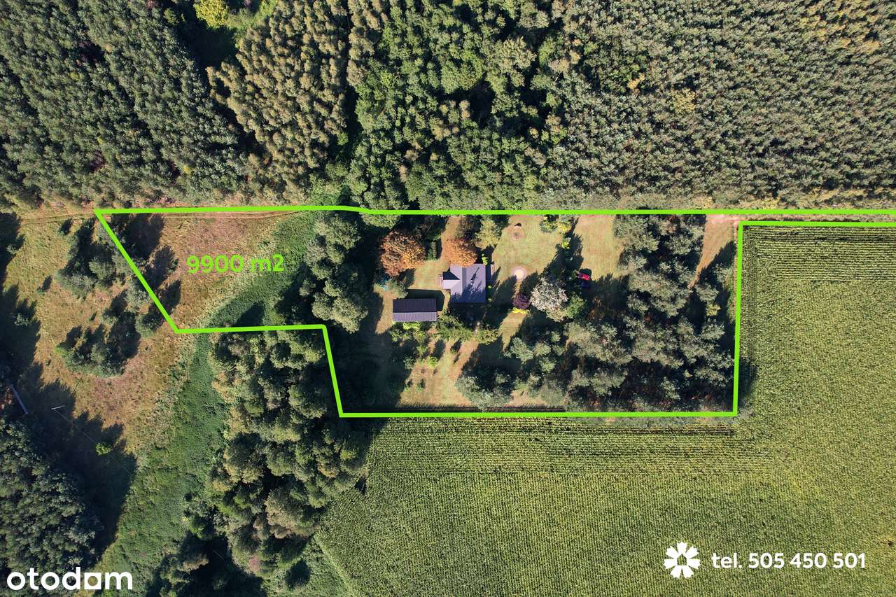 Siedlisko w lesie, działka 0,99 ha, malownicza okolica,cisza,natura - Pełny obrazek: 5/20