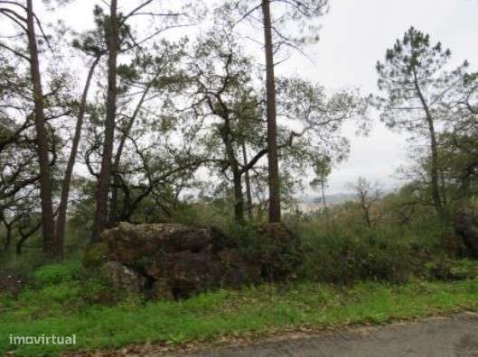 Terreno em Tomar - Grande imagem: 3/6