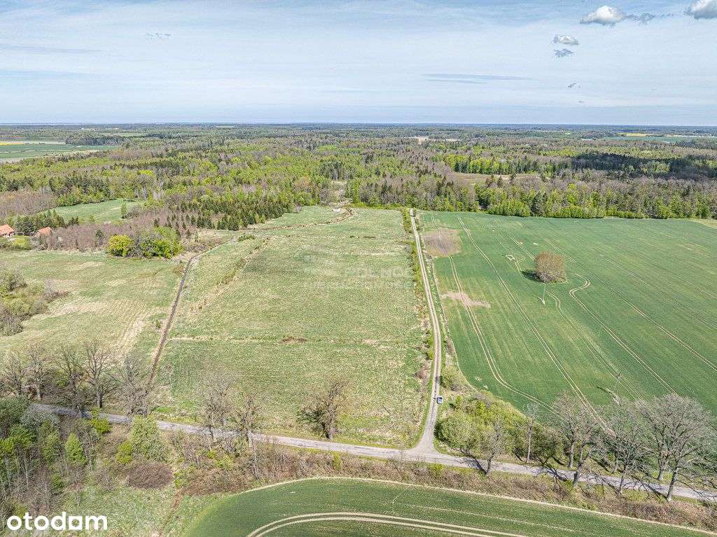 Grunt – 6,2683 ha – Pierławki, gm. Płoskinia - Pełny obrazek: 5/17