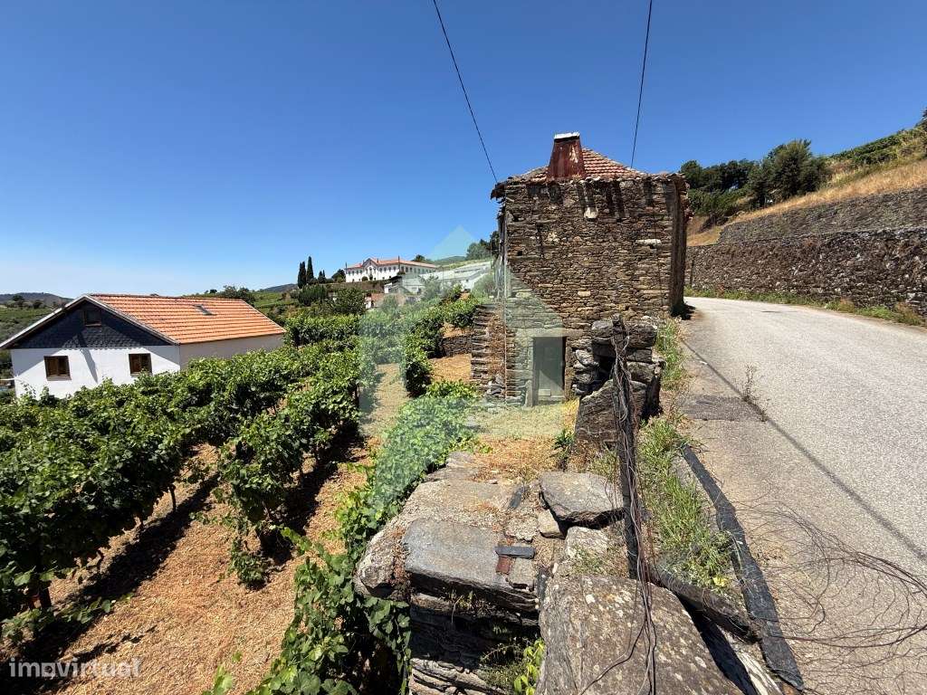Casa de campo com projeto aprovado em Cidadelhe, Mesão Frio-24