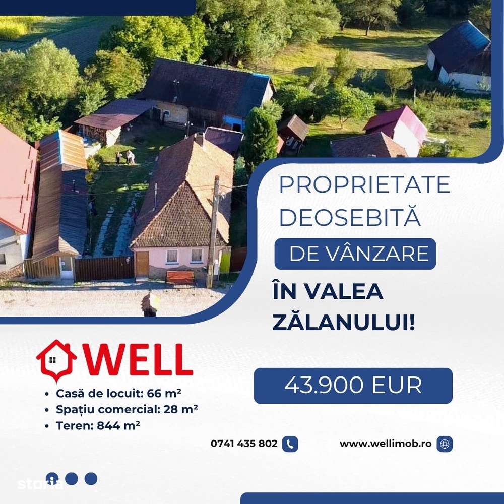 Proprietate deosebită de vânzare în Valea Zălanului!-0