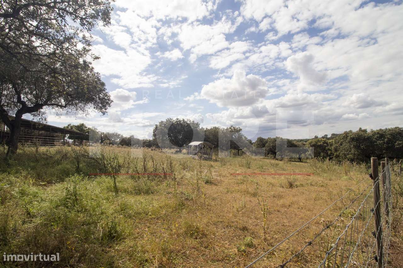 Herdade - Alvito-54