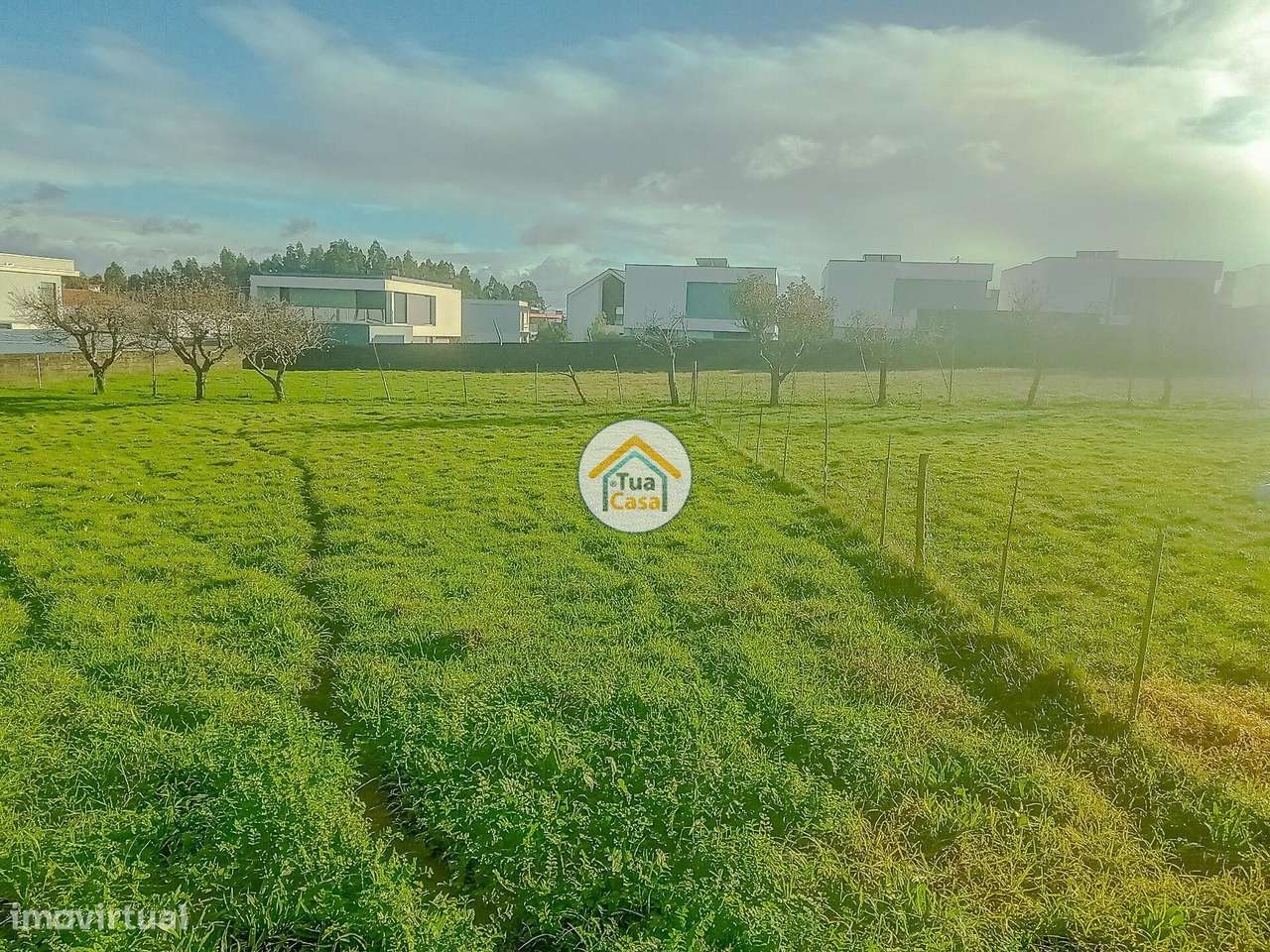 Lote Urbano em Assilhó, Albergaria-a-Velha - Grande imagem: 3/16