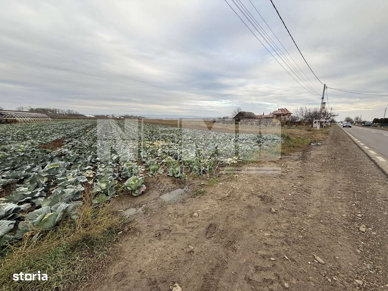 Teren 9.000 mp | Milișăuți | Intravilan | Front 38 m | 149.000 € - Imagine principală: 3/4