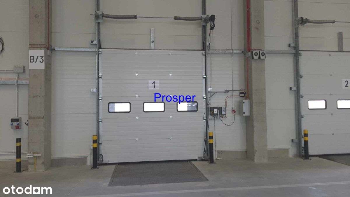 wysoki skład 12m, doki 4szt - Pełny obrazek: 5/5