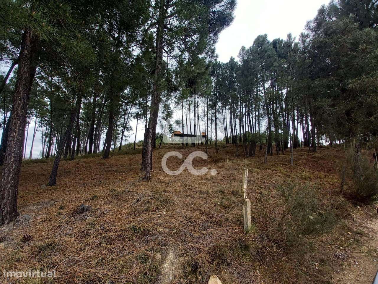 Terreno agricola com 3000m2 e um amazem já construído na Periferia da - Grande imagem: 4/31