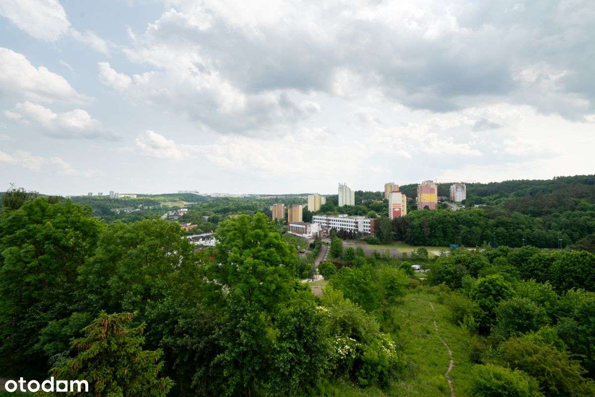 Las | Cisza | Komunikacja - Pełny obrazek: 1/9