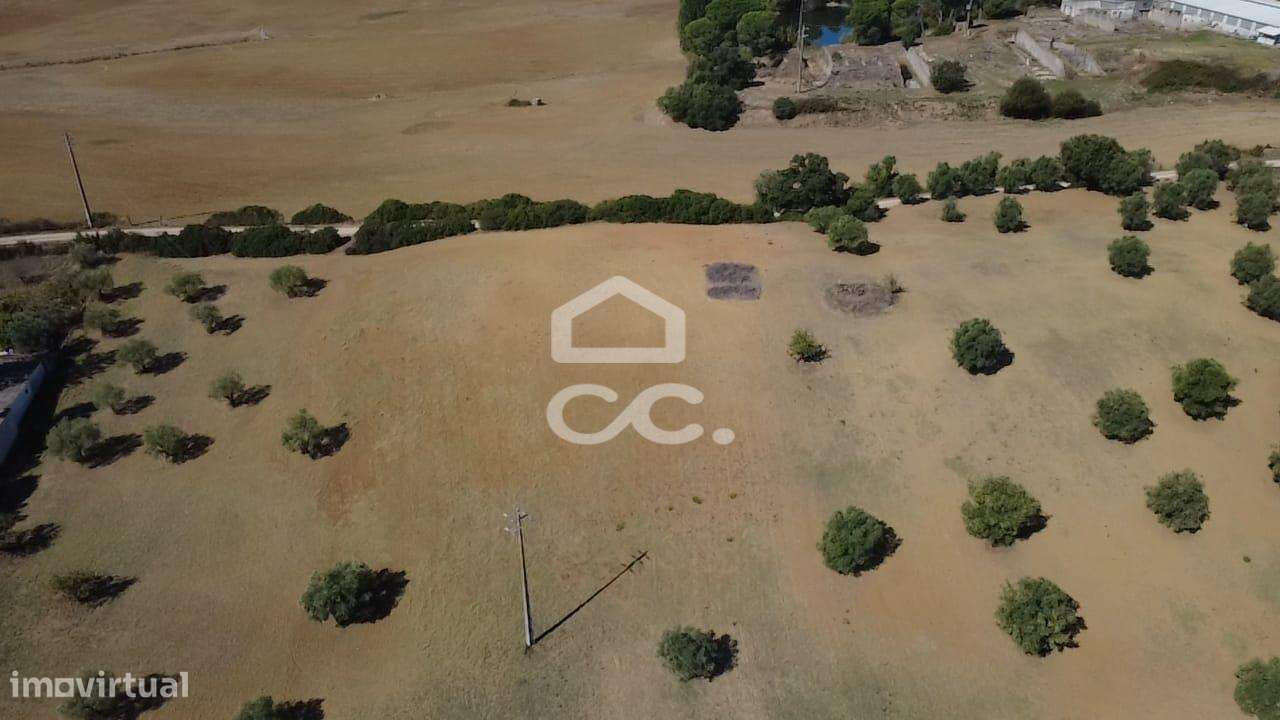 Terreno Rústico com 25.240 m² em Ferras, Gavata, Torres Novas – RAN-37