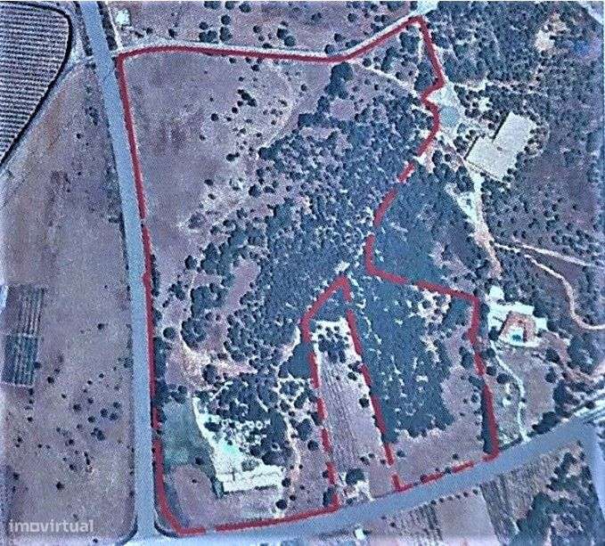 Terreno Misto C/ 18 Hect Praia Altura Algarve-3