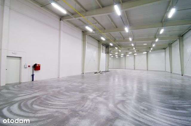 Pow. Magazynowa 250m2 plus biura 100m2! - Pełny obrazek: 5/12