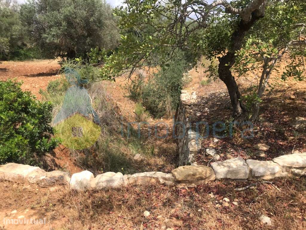 TERRENO RÚSTICO 2.560m2 ZONA TRANQUILA BOLIQUEIME - Grande imagem: 2/23