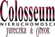 Colosseum Nieruchomości Logo