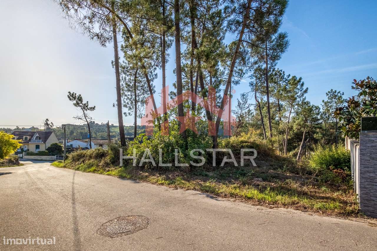 Terreno com Projeto Aprovado para Duas Moradias / Área de 519m2 / Mila - Grande imagem: 3/27