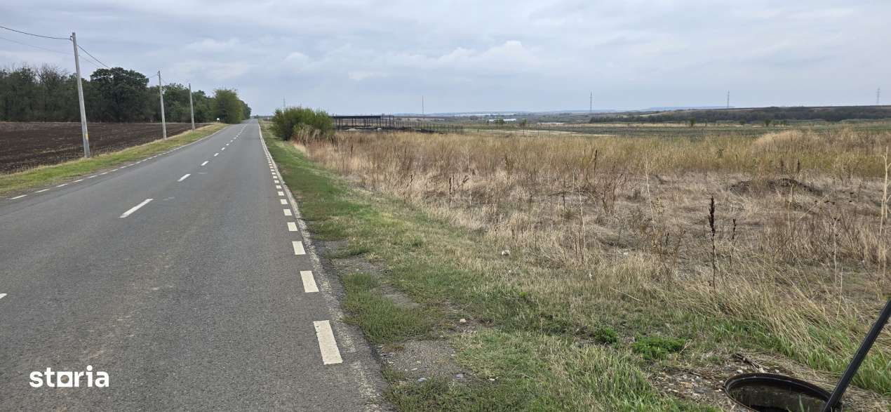 TEREN BRANESTI pentru  MICA DEZVOLTARE IMOBILIARA.-3