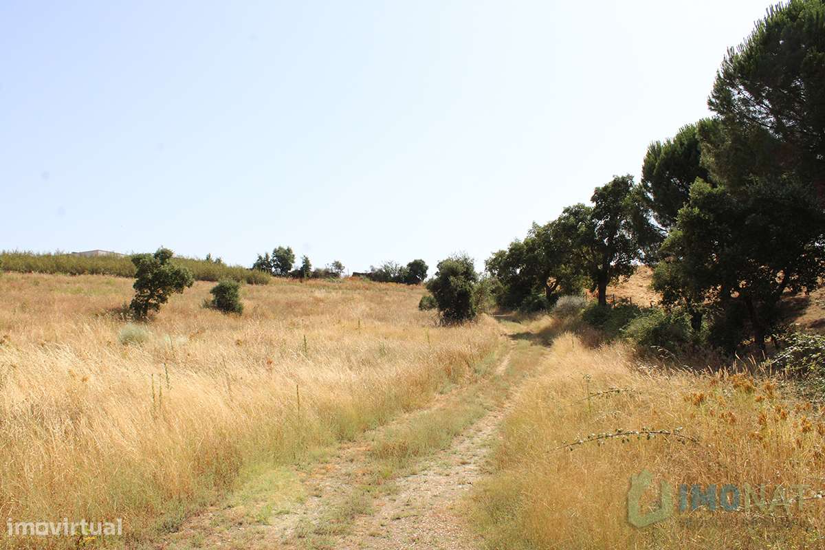 Terreno - Grande imagem: 2/36