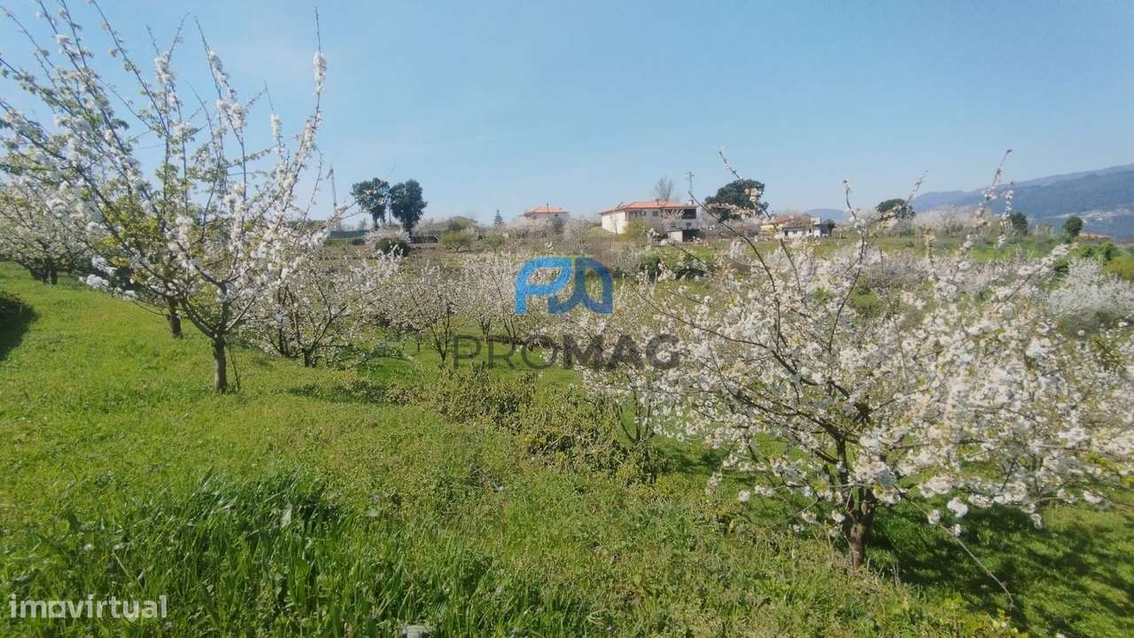 Quinta do Valado- Excelente Investimento em Resende-44