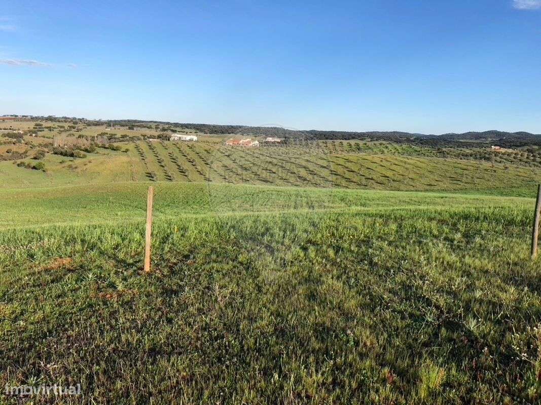 Quinta T6 para venda-13