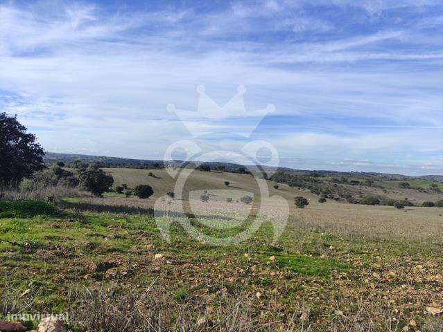 Terreno rústico viabilidade construção (10.5 Ha) - Grande imagem: 4/5