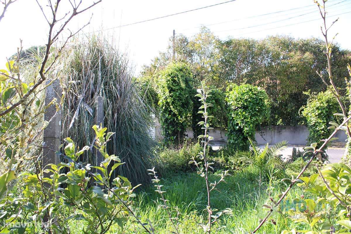 Lote de Terreno-41