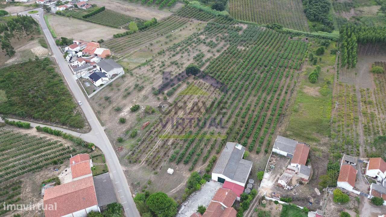Terreno Rústico Construtível c/ 7.859 m2 Carvalhal - Bombarral - Grande imagem: 5/15