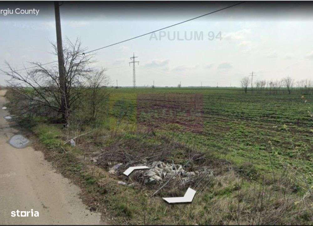 Teren 40ha Adunatii Copăceni | Industrial/ Logistic - Imagine principală: 4/6