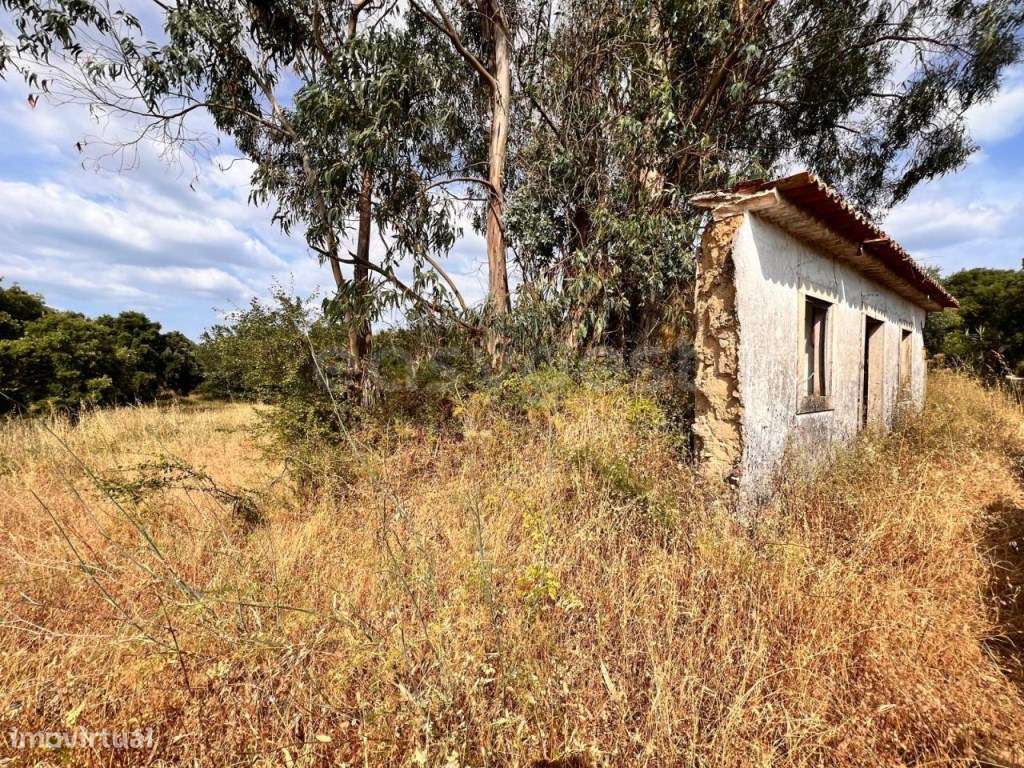 Moradia para recuperar em terreno com cerca de 1 ha em Tomar - Grande imagem: 5/27