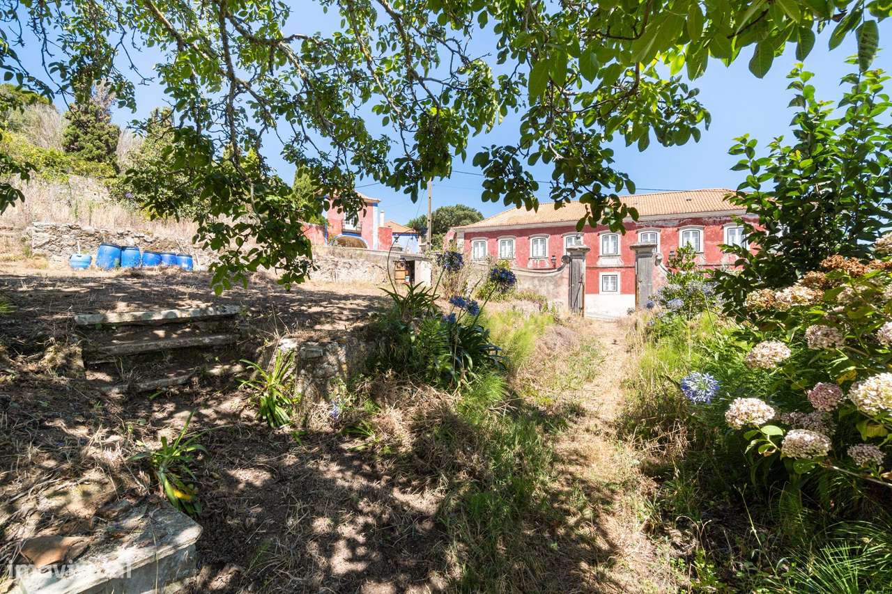 Quinta da Fonte Velha | Um segredo bem guardado, em pleno Parque Natur - Grande imagem: 4/39