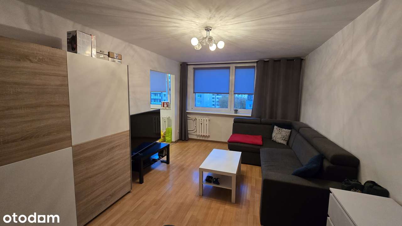 Czeladź ul. Ogrodowa wolne od zaraz - Pełny obrazek: 4/6