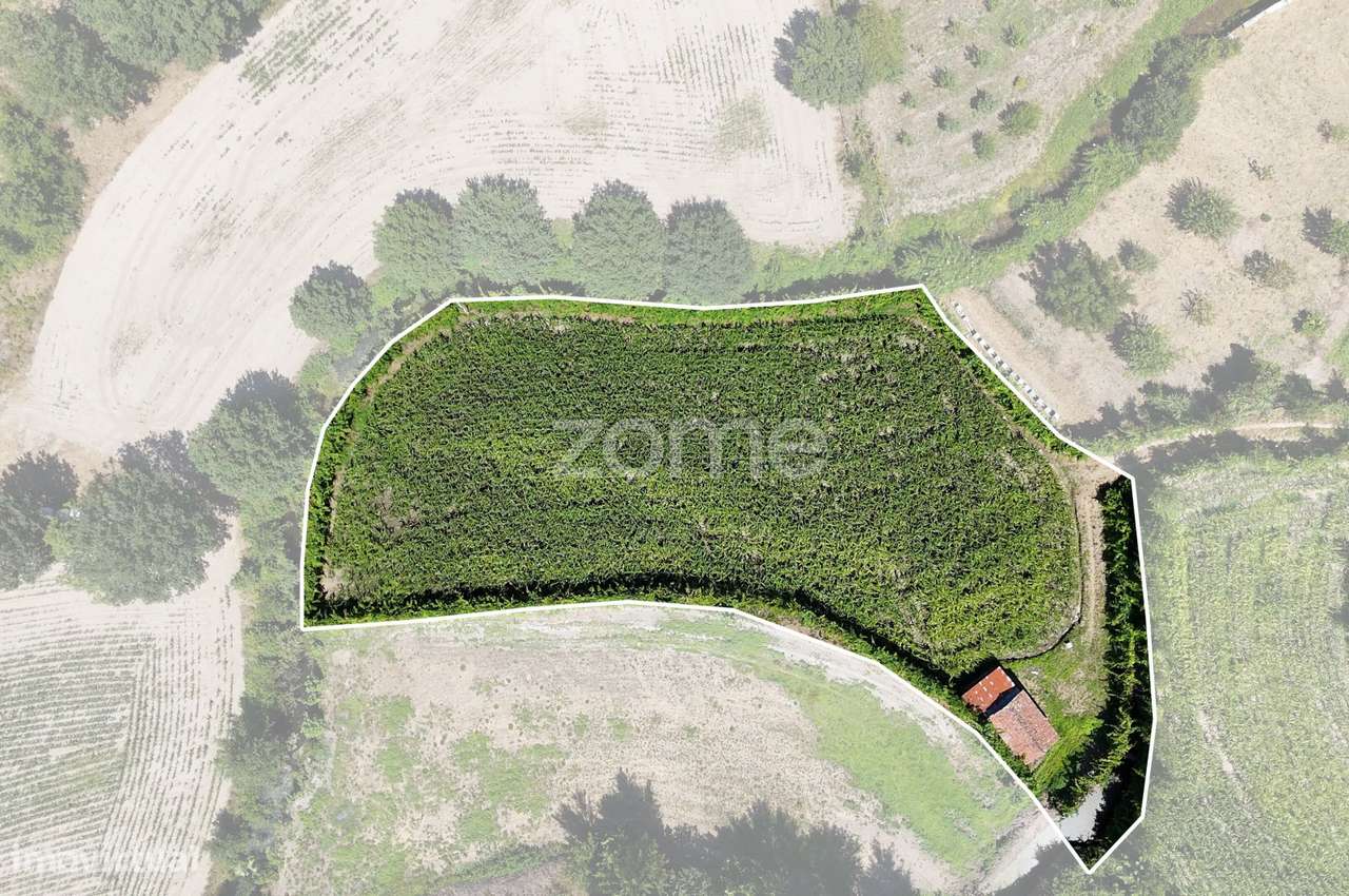 Terreno, 2 386 m², São Gens-19