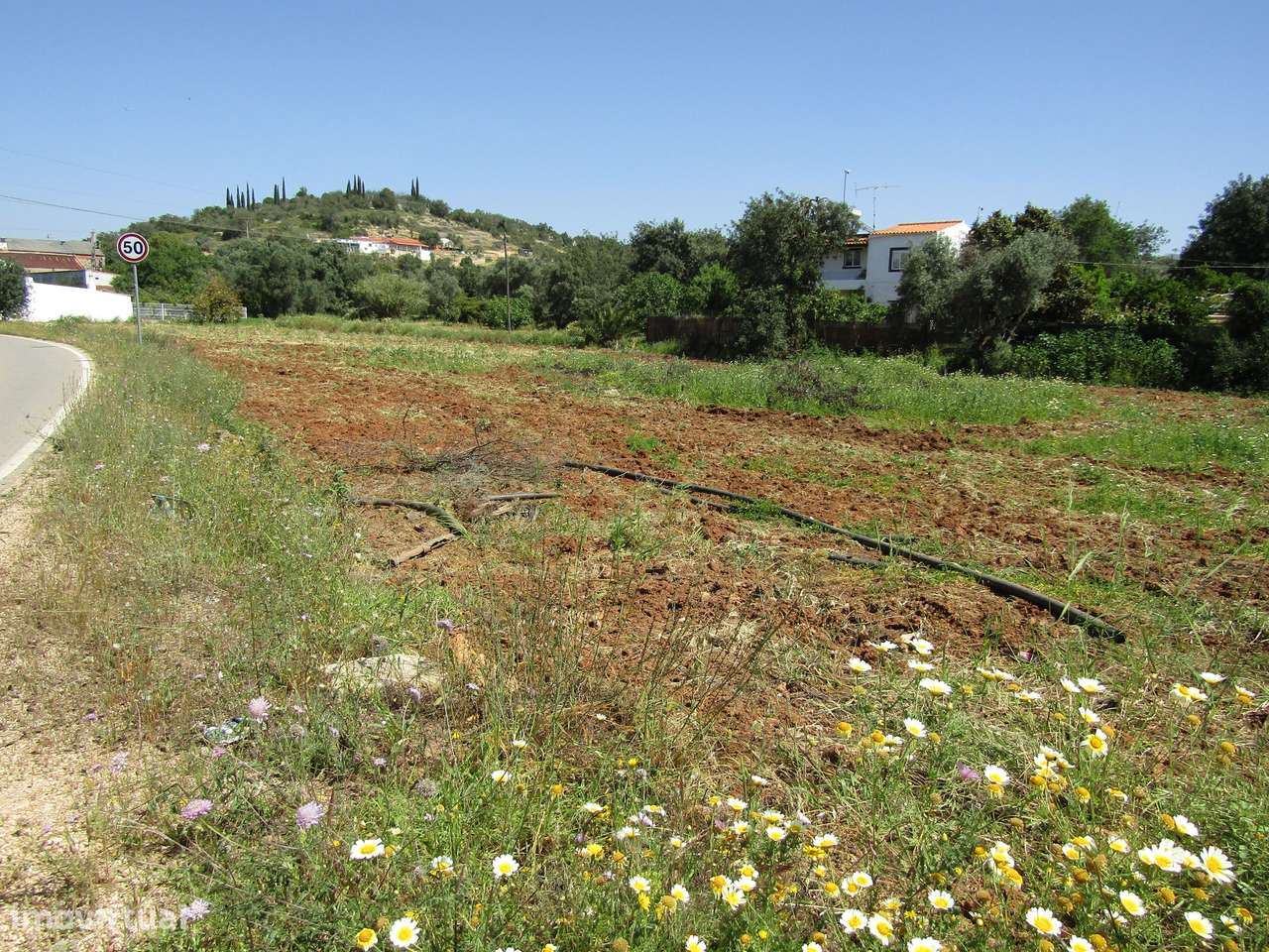 Terreno Rústico em Boliqueime - Grande imagem: 2/5