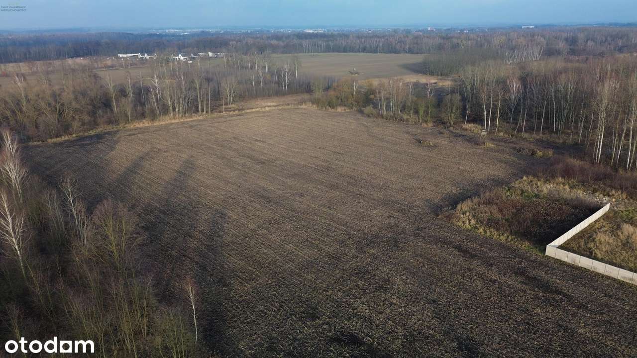 Dwie działki w kolejnej linii zabudowy Dzierżno-4