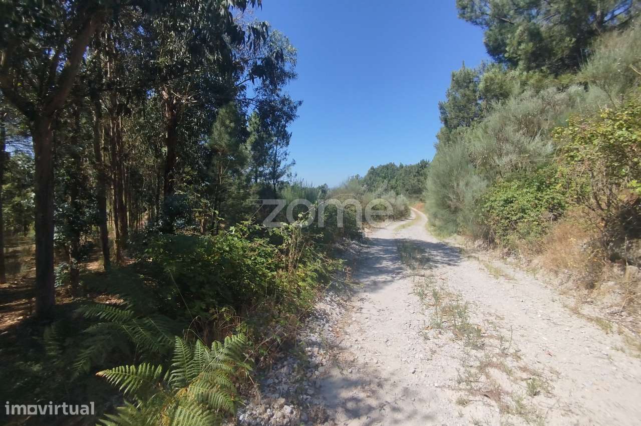 Ruína em Pedra, Palheiro escavado em pedras - Grande imagem: 1/49