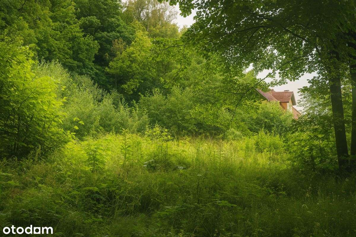 Kowary ul. Pensjonatowa, widokowa działka 804 m2-6