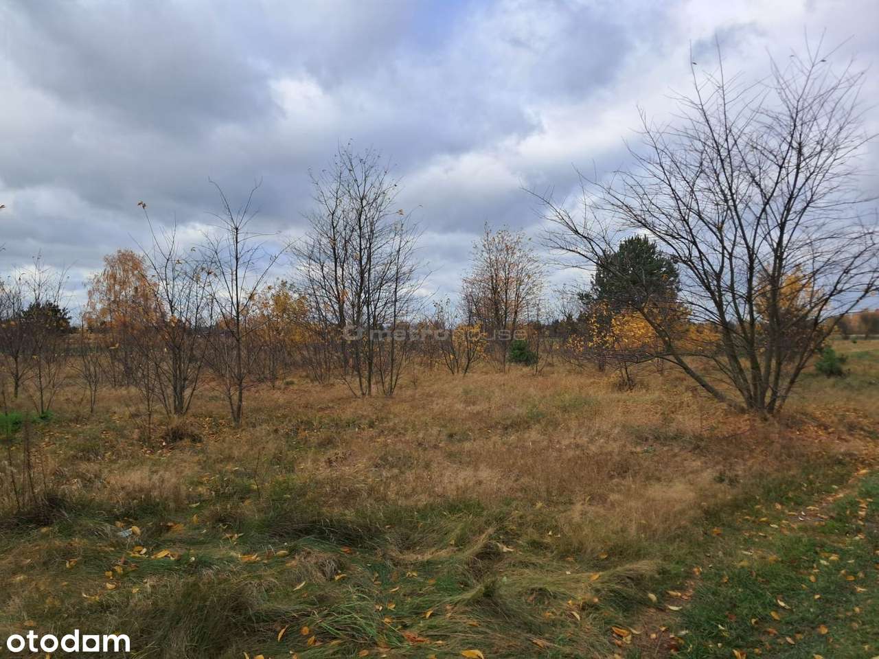 Działka budowlana 1207 m²  Suszno, gm. Włodawa - Pełny obrazek: 5/10