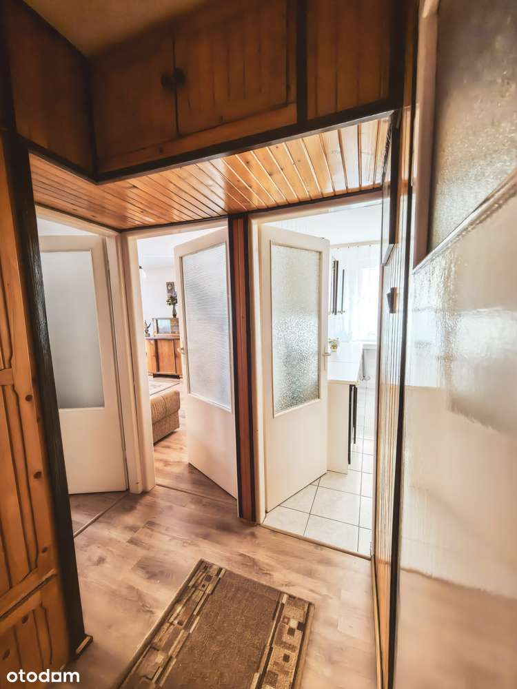 2-pokojowe mieszkanie | ul. Pszczela 3, Płock – osiedle Miodowa - Pełny obrazek: 5/5