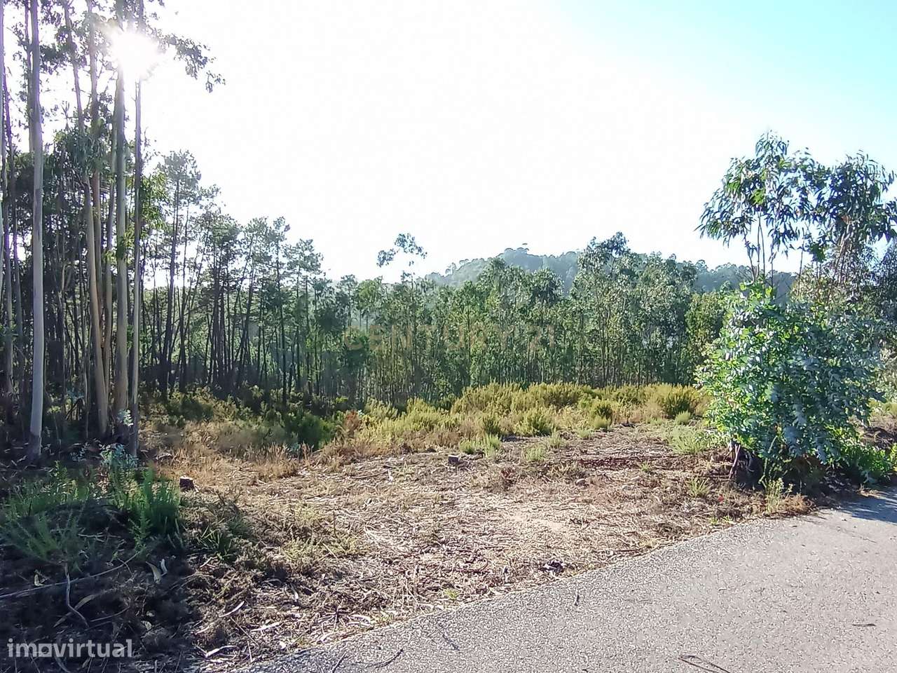 Terreno para Construção – Oportunidade Única! - Grande imagem: 3/8