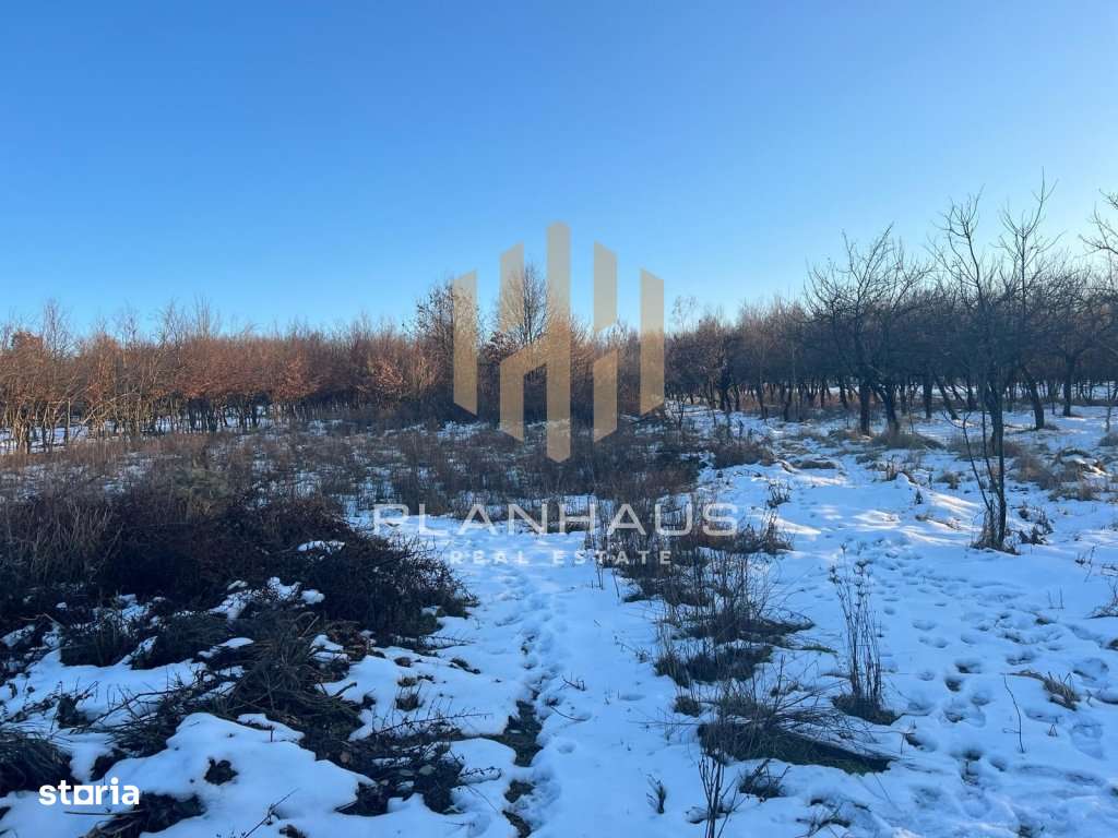 2 Parcele teren, str. Dumbravei, Baia Mare - Imagine principală: 3/4