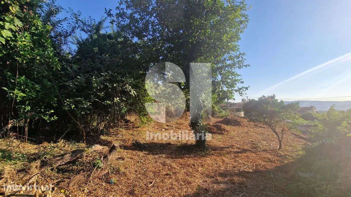 Terreno - potencial de investimento - Astromil - Paredes-32