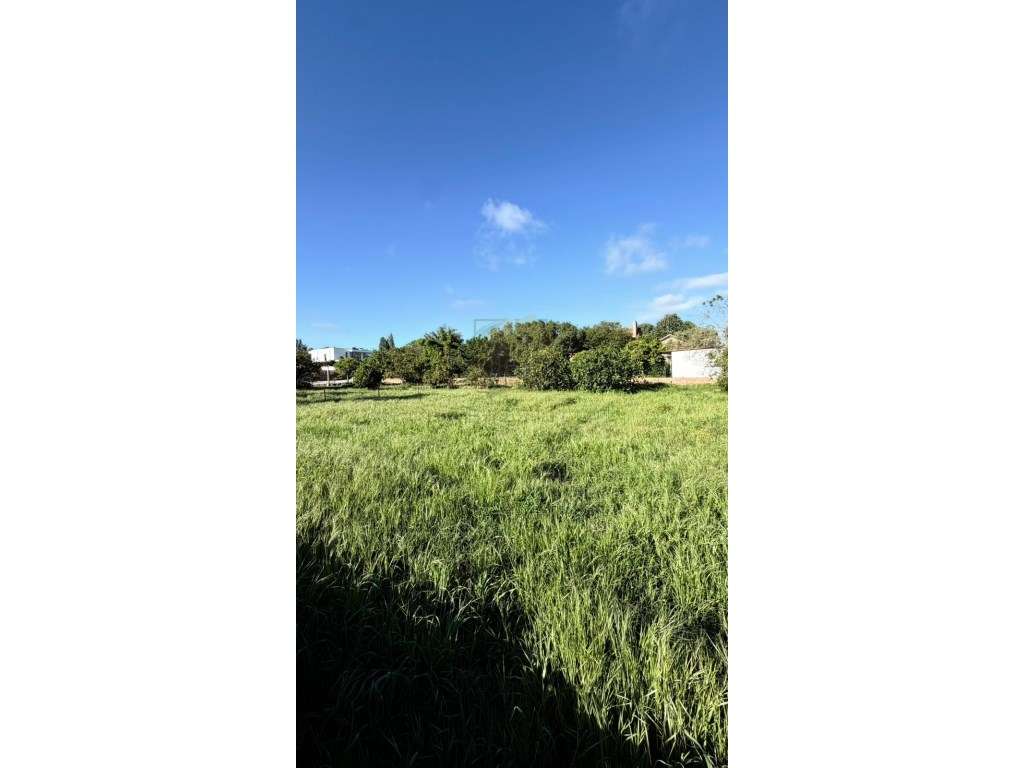 Terreno urbano para construção em excelente zona-3