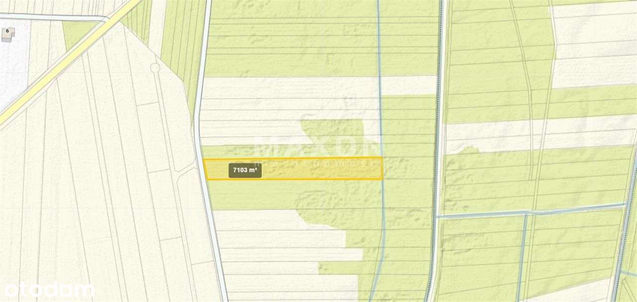 Baranów, Osiny Działka Siedliskowa/Rolna 0,71 Ha - Pełny obrazek: 4/8