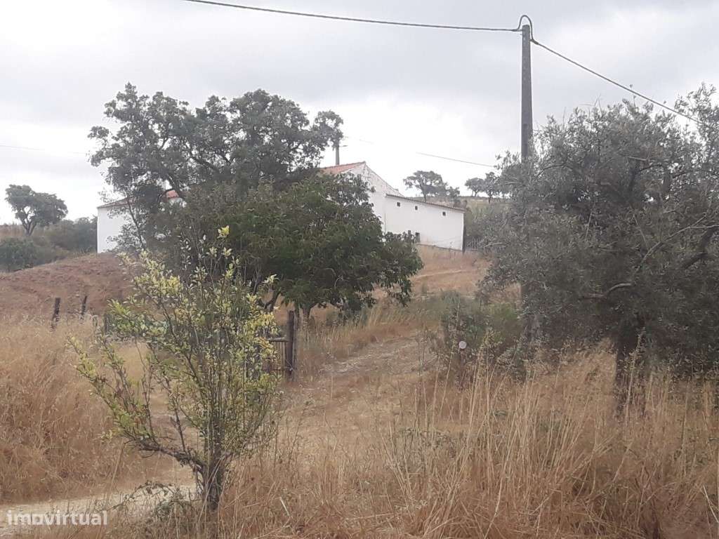 Monte Alentejano Venda Odemira-17