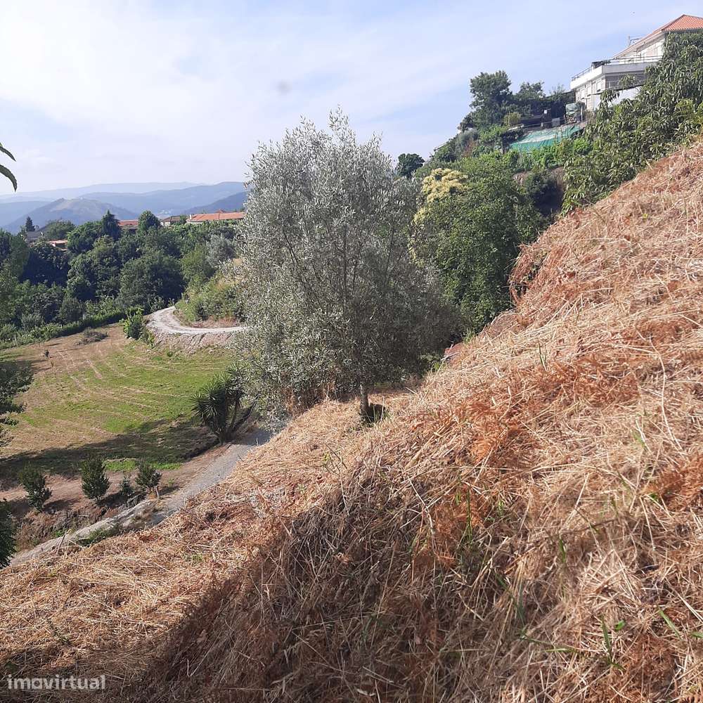 Casa em pedra para reconstruir Canelas Penafiel-38