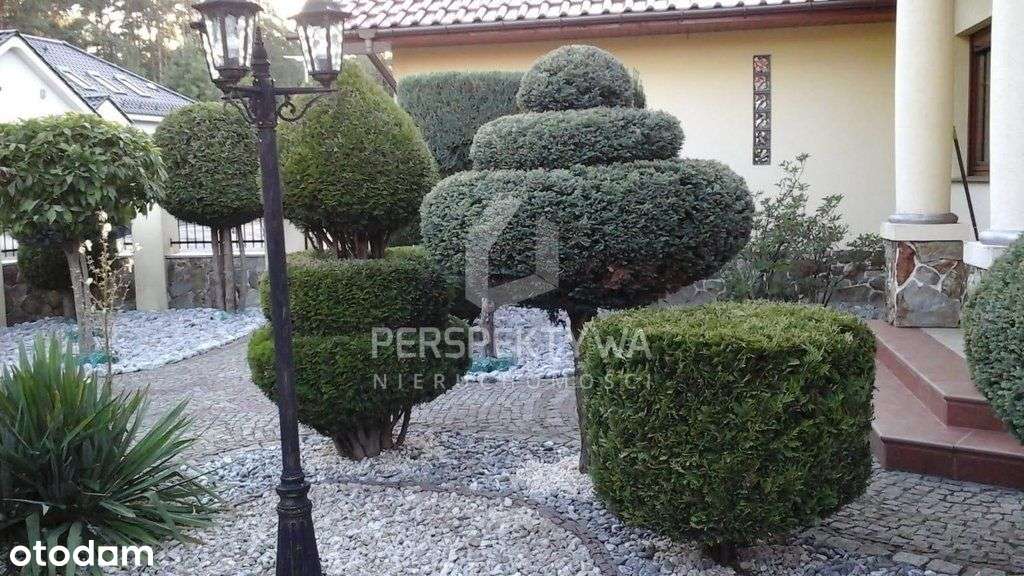 Dom Z Pięknym Ogrodem-Jędrzychów, Zielona Góra-15