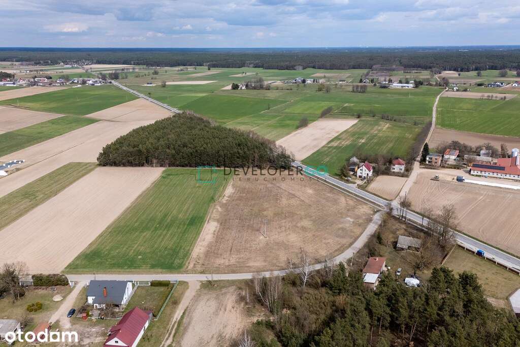 Działka inwestycyjna 1,29 ha, blisko Sypniewa - Pełny obrazek: 4/5